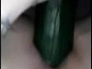 Last cucumber